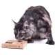 Sudoku Small Expert - Interaktives Katzen- und Hundespielzeug aus Holz Intelligentes Spielzeug für Hunde und Katzen Sudoku Small Expert - Interaktives Katzen- und Hundespielzeug aus Holz Intelligentes Spielzeug für Hunde und Katzen