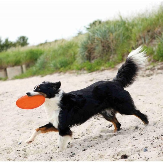 TRIXIE 33506 Dog Disc Floats TPR Diameter 22 cm TRIXIE 33506 Dog Disc Floats TPR Diameter 22 cm