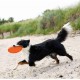 TRIXIE 33506 Dog Disc Floats TPR Diameter 22 cm TRIXIE 33506 Dog Disc Floats TPR Diameter 22 cm