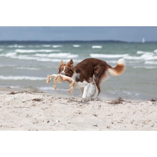 TRIXIE Be Nordic Plush Toys for Dogs Aarl Karl Large - Maritime Cuddly Toy for Dogs to Play and Cuddle - Robust & Durable - Made of Plush/Rope - 36049 TRIXIE Be Nordic Plush Toys for Dogs Aarl Karl Large - Maritime Cuddly Toy for Dogs to Play and Cuddle - Robust & Durable - Made of Plush/Rope - 36049