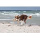 TRIXIE Be Nordic Plush Toys for Dogs Aarl Karl Large - Maritime Cuddly Toy for Dogs to Play and Cuddle - Robust & Durable - Made of Plush/Rope - 36049 TRIXIE Be Nordic Plush Toys for Dogs Aarl Karl Large - Maritime Cuddly Toy for Dogs to Play and Cuddle - Robust & Durable - Made of Plush/Rope - 36049