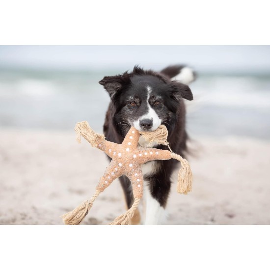 TRIXIE Be Nordic Plush Toys for Dogs Aarl Karl Large - Maritime Cuddly Toy for Dogs to Play and Cuddle - Robust & Durable - Made of Plush/Rope - 36049 TRIXIE Be Nordic Plush Toys for Dogs Aarl Karl Large - Maritime Cuddly Toy for Dogs to Play and Cuddle - Robust & Durable - Made of Plush/Rope - 36049