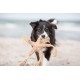 TRIXIE Be Nordic Plush Toys for Dogs Aarl Karl Large - Maritime Cuddly Toy for Dogs to Play and Cuddle - Robust & Durable - Made of Plush/Rope - 36049 TRIXIE Be Nordic Plush Toys for Dogs Aarl Karl Large - Maritime Cuddly Toy for Dogs to Play and Cuddle - Robust & Durable - Made of Plush/Rope - 36049