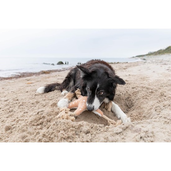 TRIXIE Be Nordic Plush Toys for Dogs Aarl Karl Large - Maritime Cuddly Toy for Dogs to Play and Cuddle - Robust & Durable - Made of Plush/Rope - 36049 TRIXIE Be Nordic Plush Toys for Dogs Aarl Karl Large - Maritime Cuddly Toy for Dogs to Play and Cuddle - Robust & Durable - Made of Plush/Rope - 36049