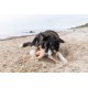 TRIXIE Be Nordic Plush Toys for Dogs Aarl Karl Large - Maritime Cuddly Toy for Dogs to Play and Cuddle - Robust & Durable - Made of Plush/Rope - 36049 TRIXIE Be Nordic Plush Toys for Dogs Aarl Karl Large - Maritime Cuddly Toy for Dogs to Play and Cuddle - Robust & Durable - Made of Plush/Rope - 36049