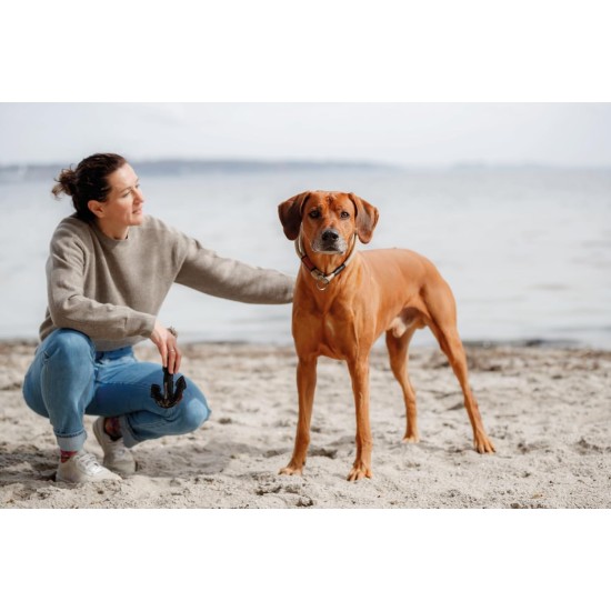 TRIXIE Be Nordic Plush Toys for Dogs Aarl Karl Large - Maritime Cuddly Toy for Dogs to Play and Cuddle - Robust & Durable - Made of Plush/Rope - 36049 TRIXIE Be Nordic Plush Toys for Dogs Aarl Karl Large - Maritime Cuddly Toy for Dogs to Play and Cuddle - Robust & Durable - Made of Plush/Rope - 36049
