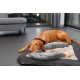 TRIXIE Be Nordic Plush Toys for Dogs Aarl Karl Large - Maritime Cuddly Toy for Dogs to Play and Cuddle - Robust & Durable - Made of Plush/Rope - 36049 TRIXIE Be Nordic Plush Toys for Dogs Aarl Karl Large - Maritime Cuddly Toy for Dogs to Play and Cuddle - Robust & Durable - Made of Plush/Rope - 36049