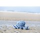 TRIXIE Be Nordic Plush Toys for Dogs Seagull Hinnerk - Maritime Cuddly Toy for Dogs to Play and Cuddle - Robust & Durable - 36042 TRIXIE Be Nordic Plush Toys for Dogs Seagull Hinnerk - Maritime Cuddly Toy for Dogs to Play and Cuddle - Robust & Durable - 36042