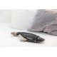 TRIXIE Be Nordic Plush Toys for Dogs Seagull Hinnerk - Maritime Cuddly Toy for Dogs to Play and Cuddle - Robust & Durable - 36042 TRIXIE Be Nordic Plush Toys for Dogs Seagull Hinnerk - Maritime Cuddly Toy for Dogs to Play and Cuddle - Robust & Durable - 36042