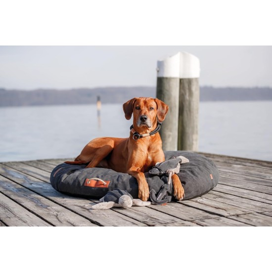 TRIXIE Be Nordic Plush Toys for Dogs Seagull Hinnerk - Maritime Cuddly Toy for Dogs to Play and Cuddle - Robust & Durable - 36042 TRIXIE Be Nordic Plush Toys for Dogs Seagull Hinnerk - Maritime Cuddly Toy for Dogs to Play and Cuddle - Robust & Durable - 36042