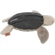 TRIXIE Be Nordic Plush Toys for Dogs Seagull Hinnerk - Maritime Cuddly Toy for Dogs to Play and Cuddle - Robust & Durable - 36042 TRIXIE Be Nordic Plush Toys for Dogs Seagull Hinnerk - Maritime Cuddly Toy for Dogs to Play and Cuddle - Robust & Durable - 36042