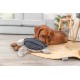 TRIXIE Be Nordic Plush Toys for Dogs Seagull Hinnerk - Maritime Cuddly Toy for Dogs to Play and Cuddle - Robust & Durable - 36042 TRIXIE Be Nordic Plush Toys for Dogs Seagull Hinnerk - Maritime Cuddly Toy for Dogs to Play and Cuddle - Robust & Durable - 36042