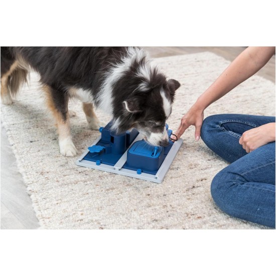 TRIXIE Dog Toy Intelligence Dog Activity Strategy Game "Gamble Box" - Sophisticated Intelligence Toy for Dogs for Business, 15 x 15 cm - 32011 TRIXIE Dog Toy Intelligence Dog Activity Strategy Game "Gamble Box" - Sophisticated Intelligence Toy for Dogs for Business, 15 x 15 cm - 32011