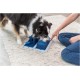 TRIXIE Dog Toy Intelligence Dog Activity Strategy Game "Gamble Box" - Sophisticated Intelligence Toy for Dogs for Business, 15 x 15 cm - 32011