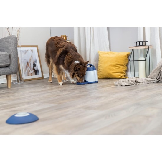 TRIXIE Hundespielzeug Intelligenz Dog Activity Strategie-Spiel Memory Trainer 3.0 – Anspruchsvolles Intelligenzspielzeug für Hunde zur Beschäftigung 20x24cm, tierschutzkonform - 32040 TRIXIE Hundespielzeug Intelligenz Dog Activity Strategie-Spiel Memory Trainer 3.0 – Anspruchsvolles Intelligenzspielzeug für Hunde zur Beschäftigung 20x24cm, tierschutzkonform - 32040
