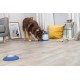 TRIXIE Hundespielzeug Intelligenz Dog Activity Strategie-Spiel Memory Trainer 3.0 – Anspruchsvolles Intelligenzspielzeug für Hunde zur Beschäftigung 20x24cm, tierschutzkonform - 32040 TRIXIE Hundespielzeug Intelligenz Dog Activity Strategie-Spiel Memory Trainer 3.0 – Anspruchsvolles Intelligenzspielzeug für Hunde zur Beschäftigung 20x24cm, tierschutzkonform - 32040