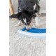 TRIXIE Puzzle Toy for Dogs with Sticks Beginner (Level 1) Strategy Game Dog Activity Treat