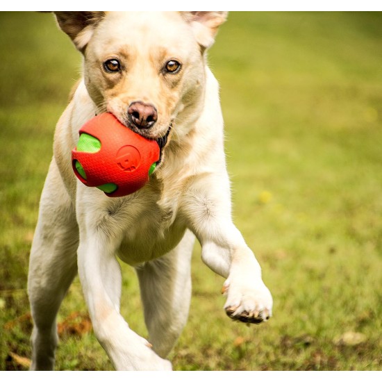Toyz by Petface Rubber Frisbee Dog Toy Toyz by Petface Rubber Frisbee Dog Toy