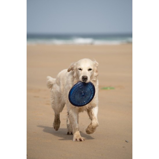 Toyz by Petface Rubber Frisbee Dog Toy Toyz by Petface Rubber Frisbee Dog Toy