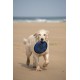 Toyz by Petface Rubber Frisbee Dog Toy Toyz by Petface Rubber Frisbee Dog Toy