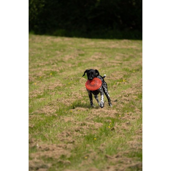 Toyz by Petface Rubber Frisbee Dog Toy Toyz by Petface Rubber Frisbee Dog Toy