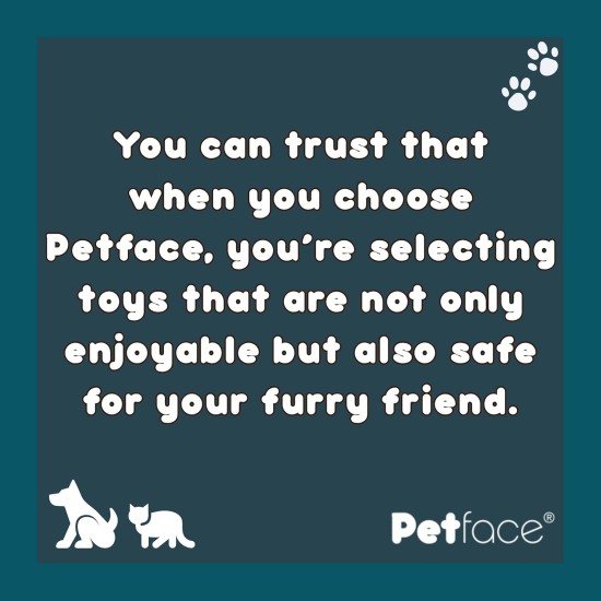 Toyz by Petface Rugby Tugger Dog Toy, Small Toyz by Petface Rugby Tugger Dog Toy, Small