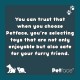 Toyz by Petface Rugby Tugger Dog Toy, Small Toyz by Petface Rugby Tugger Dog Toy, Small