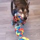 Toyz by Petface Triple Knot Rope Dog Toy, Small Toyz by Petface Triple Knot Rope Dog Toy, Small