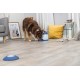Trixie 32040 Dog Activity Memory Trainer 2.0, diameter 20 x 24 cm Trixie 32040 Dog Activity Memory Trainer 2.0, diameter 20 x 24 cm