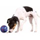Trixie Activity Toy for Dogs, Snack Ball made of Natural Rubber in Assorted Colours, 7 cm