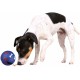 Trixie Activity Toy for Dogs, Snack Ball made of Natural Rubber in Assorted Colours, 7 cm