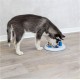 Trixie Dog Activity Strategy Game, assorted colours Trixie Dog Activity Strategy Game, assorted colours