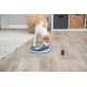 Trixie Dog Activity Strategy Game, assorted colours Trixie Dog Activity Strategy Game, assorted colours
