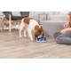 Trixie Dog Activity Strategy Game, assorted colours Trixie Dog Activity Strategy Game, assorted colours