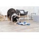 Trixie Dog Activity Strategy Game, assorted colours Trixie Dog Activity Strategy Game, assorted colours
