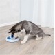 Trixie Dog Activity Strategy Game, assorted colours Trixie Dog Activity Strategy Game, assorted colours