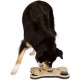 Trixie Dog Activity Turn Around, 22 × 33 × 18 cm Trixie Dog Activity Turn Around, 22 × 33 × 18 cm
