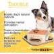 Trouble - My Intelligent Dogs Interaktives Hundespielzeug aus Holz Intelligentes Spielzeug für Hunde Trouble - My Intelligent Dogs Interaktives Hundespielzeug aus Holz Intelligentes Spielzeug für Hunde