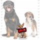Tuffy T-JR-OB-PL Ser Odd Ball Pink Leopard Print Tuffy T-JR-OB-PL Ser Odd Ball Pink Leopard Print