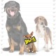 Tuffy T-JR-OB-PL Ser Odd Ball Pink Leopard Print Tuffy T-JR-OB-PL Ser Odd Ball Pink Leopard Print