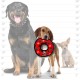 Tuffy T-JR-OB-PL Ser Odd Ball Pink Leopard Print Tuffy T-JR-OB-PL Ser Odd Ball Pink Leopard Print
