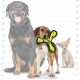 Tuffy T-JR-OB-PL Ser Odd Ball Pink Leopard Print Tuffy T-JR-OB-PL Ser Odd Ball Pink Leopard Print