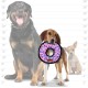 Tuffy T-JR-OB-PL Ser Odd Ball Pink Leopard Print Tuffy T-JR-OB-PL Ser Odd Ball Pink Leopard Print