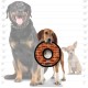 Tuffy 's Mega Odd Ball Chain Link Dog Toy Tuffy 's Mega Odd Ball Chain Link Dog Toy
