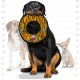 Tuffy 's Mega Odd Ball Chain Link Dog Toy Tuffy 's Mega Odd Ball Chain Link Dog Toy