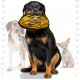 Tuffy 's Mega Odd Ball Chain Link Dog Toy Tuffy 's Mega Odd Ball Chain Link Dog Toy