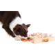 Turtle - My Intelligent Dogs Interaktives Hundespielzeug aus Holz Hundespielzeug für Hunde Hundespielzeug kleine und große Hunde Hunde Spielzeug Turtle - My Intelligent Dogs Interaktives Hundespielzeug aus Holz Hundespielzeug für Hunde Hundespielzeug kleine und große Hunde Hunde Spielzeug