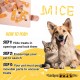 Turtle - My Intelligent Dogs Interaktives Hundespielzeug aus Holz Hundespielzeug für Hunde Hundespielzeug kleine und große Hunde Hunde Spielzeug Turtle - My Intelligent Dogs Interaktives Hundespielzeug aus Holz Hundespielzeug für Hunde Hundespielzeug kleine und große Hunde Hunde Spielzeug