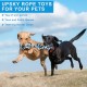 UPSKY 2 Pack Puppy Teeth Grinding Toys, Almost Indestructible, Teeth Cleaning Products, Prevents Boredom and Relieves Stress