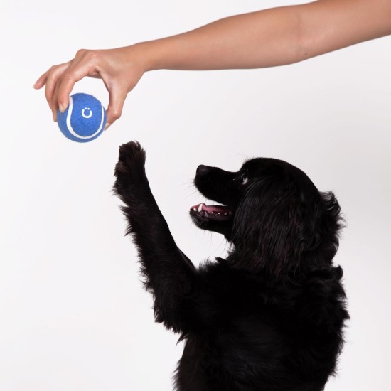 Ubbi Tennis Balls for Dogs, Interactive and Durable Fetch Toy for Medium Dog Breeds, Blue and Charcoal Pack of 4 Ubbi Tennis Balls for Dogs, Interactive and Durable Fetch Toy for Medium Dog Breeds, Blue and Charcoal Pack of 4